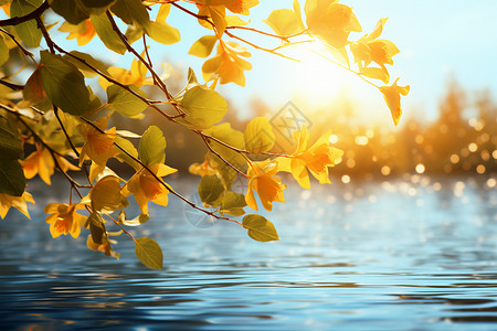 金秋季节金秋湖畔的风景背景