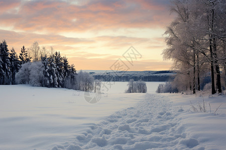 俄罗斯森林雪中的俄罗斯乡村背景