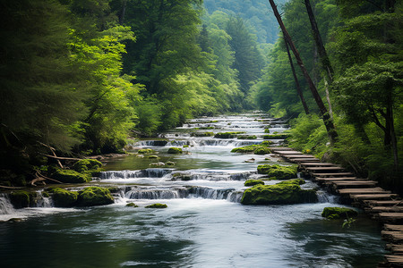 山间溪流森林峡谷高清图片