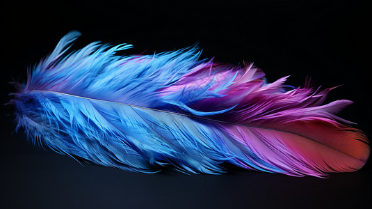 一根蓝色羽毛背景图片