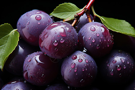 紫色梅子水果背景图片