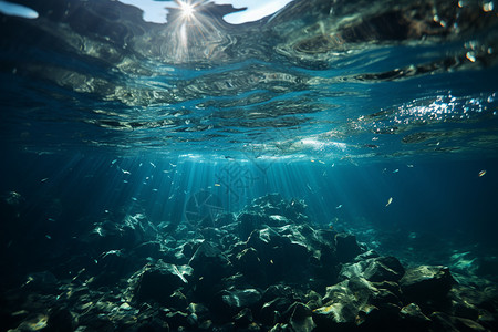 礁石滩阳光映照出的水下设计图片