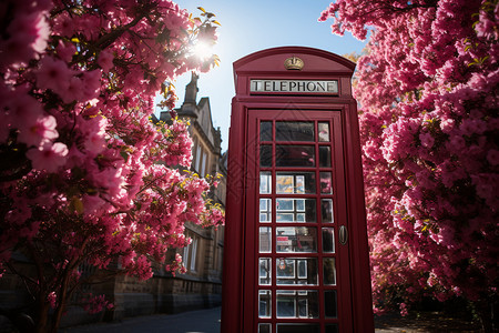 艺术唯美的鲜花电话亭图片