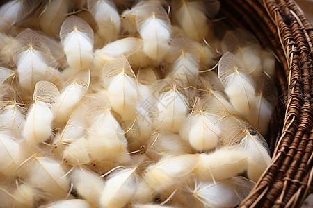 竹篮中白色的蚕茧高清图片