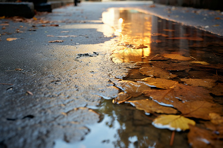马路施工雨后街上的落叶背景