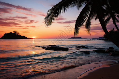 海边椰子树太阳夕阳下的热带岛屿背景