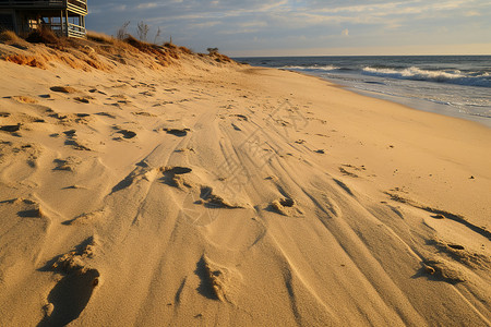 热带海滩上的沙子背景图片