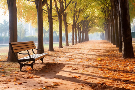 木制长椅秋天公园里的长椅背景