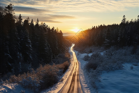 冬季森林的道路图片
