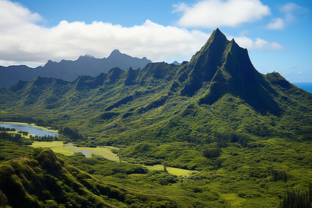 库克群岛的景色背景