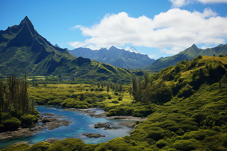 南太平洋岛屿的景色高清图片