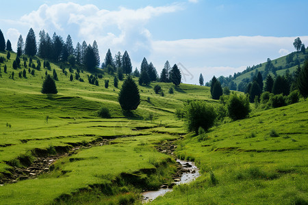 翠绿的山坡风景背景图片