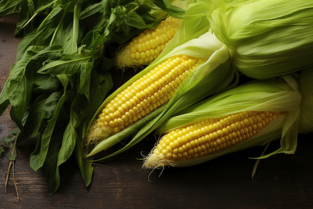 新鲜健康的玉米图片