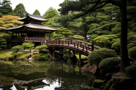 日本庭院中的池塘图片