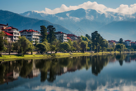 湖泊中的美丽风景图片