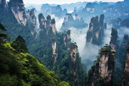 雾中奇石群峰仙境图片