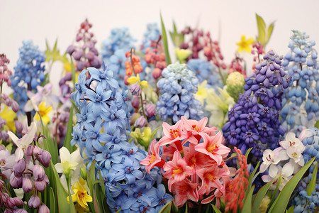 五彩缤纷的花卉背景图片