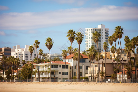 美丽的圣莫尼卡海滩与棕榈树高清图片