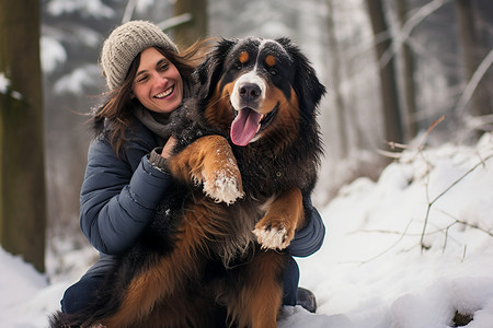 伯恩山地犬雪地里拥抱的女士和宠物狗背景