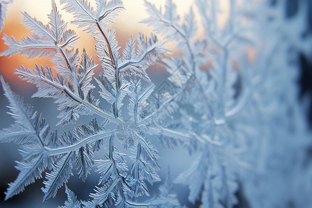 冬天冰窗上的雪花图片