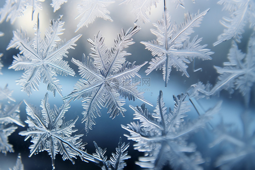 冬天在窗户上的雪花图片