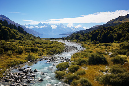 智利山谷山谷中自然的溪流背景