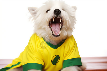 狗服装足球运动支持者背景