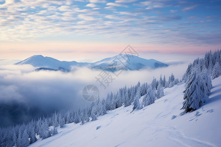 昆然雪山与树木背景