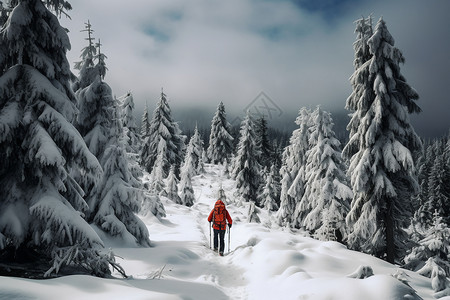 冰雪遨游图片