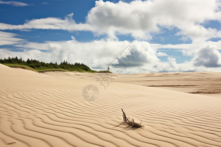 天空盒沙漠上的波纹背景