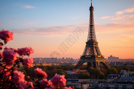 晨曦中的巴黎图片