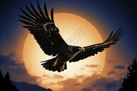 肉食店自由翱翔的秃鹰插画