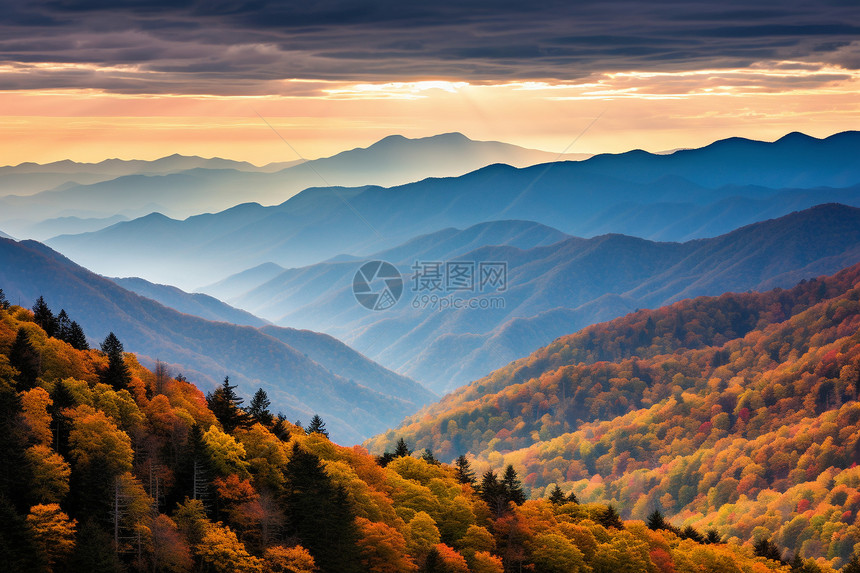 秋季山丘森林的美丽景观图片