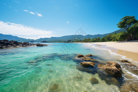 海水清澈见底背景图片