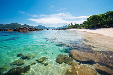 碧绿的海水背景图片