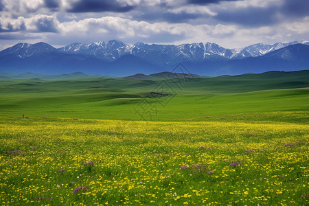 绿色绚丽光效夏日草原的绚丽景色背景