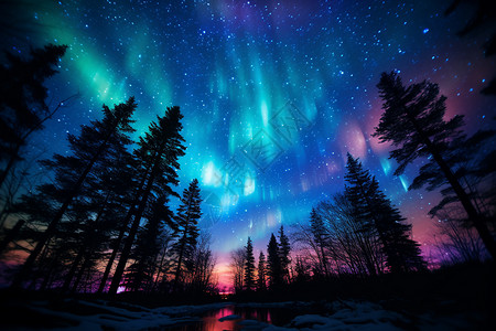 神奇北极光下的森林夜景高清图片