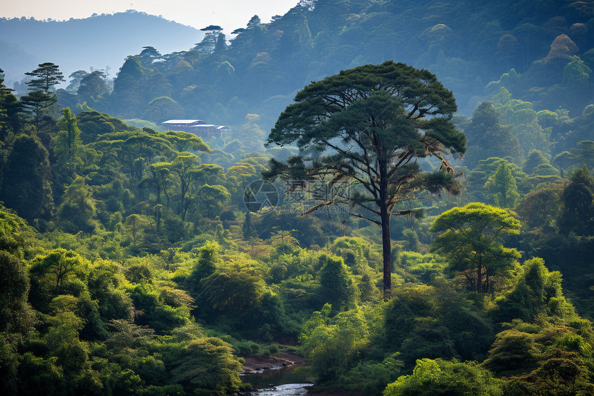 翠绿山水图片