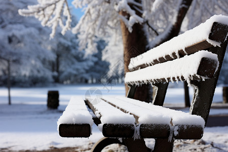 冬日公园中雪覆长椅背景