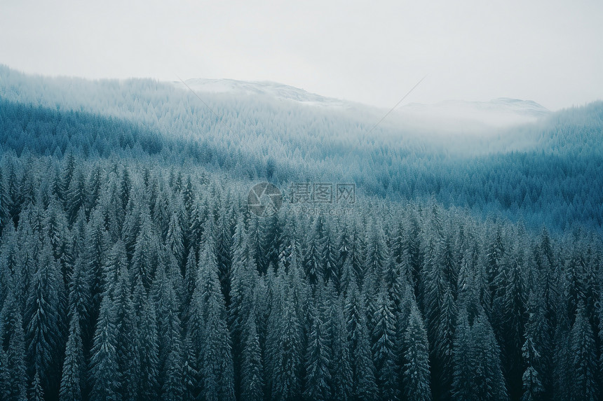 冬日山林中图片
