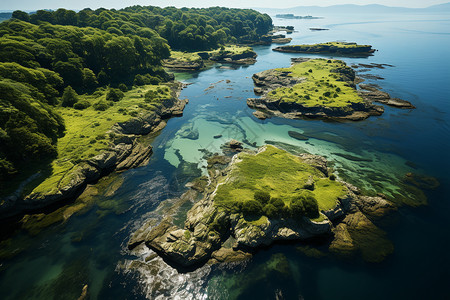 森林小岛海边森林风景背景