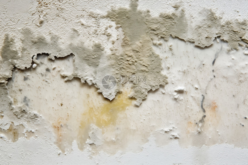 墙壁上的霉菌图片