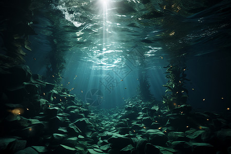 深海幻境图片