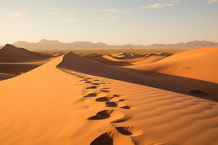 沙漠之足生态足迹高清图片