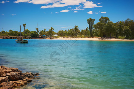 澳洲热带海岛上的美丽风光高清图片