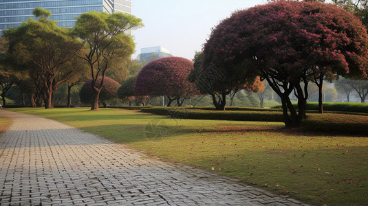 草坪砖公园里的砖石道路背景