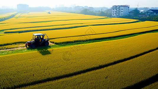 粮食机械一望无际的稻田背景