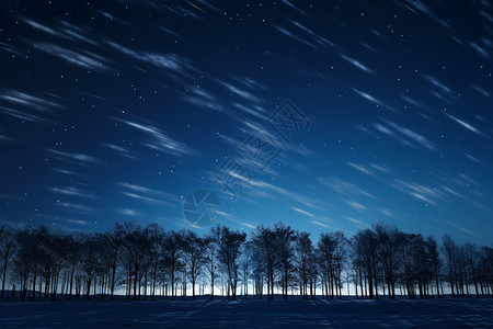 星空下的森林背景图片
