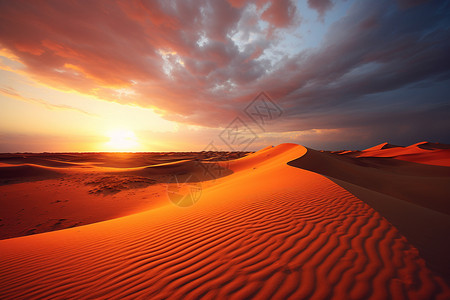 沙丘日落图片