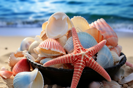 美丽的贝壳和海螺背景图片
